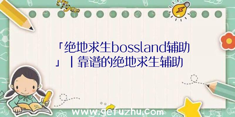 「绝地求生bossland辅助」|靠谱的绝地求生辅助